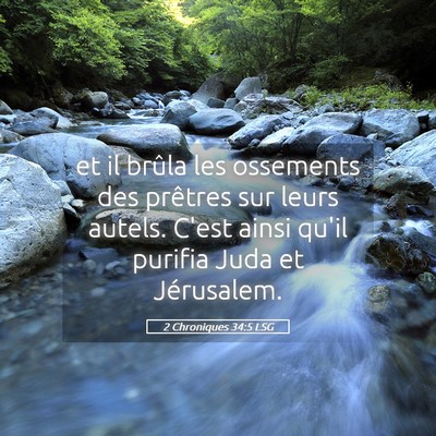 Picture 05 - 2 Chroniques 34:5 LSG - et il brûla les ossements des prêtres sur leurs - Bible Verse Picture