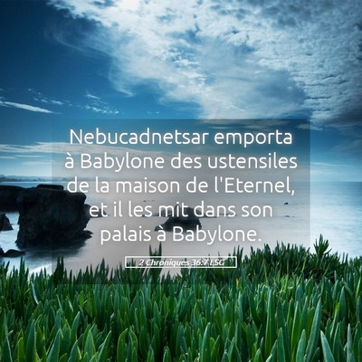 Picture 05 - 2 Chroniques 36:7 LSG - Nebucadnetsar emporta à Babylone des ustensiles - Bible Verse Picture