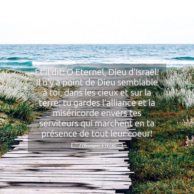 Picture 05 - 2 Chroniques 6:14 LSG - Et il dit: O Eternel, Dieu d'Israël! Il n'y a - Bible Verse Picture