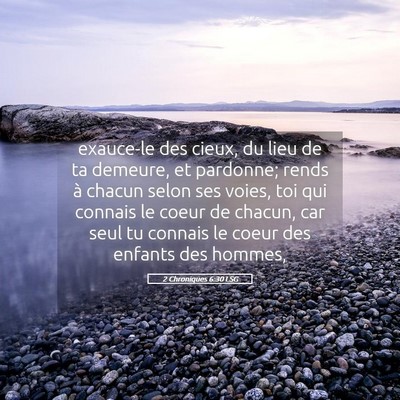 Picture 05 - 2 Chroniques 6:30 LSG - exauce-le des cieux, du lieu de ta demeure, et - Bible Verse Picture