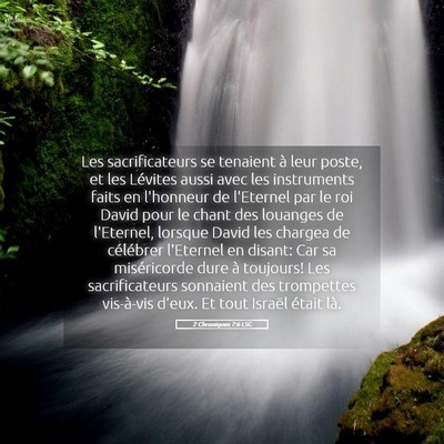 Picture 05 - 2 Chroniques 7:6 LSG - Les sacrificateurs se tenaient à leur poste, et - Bible Verse Picture