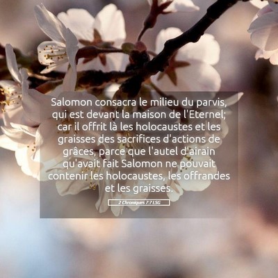 Picture 05 - 2 Chroniques 7:7 LSG - Salomon consacra le milieu du parvis, qui est - Bible Verse Picture