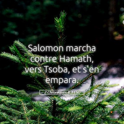 Picture 05 - 2 Chroniques 8:3 LSG - Salomon marcha contre Hamath, vers Tsoba, et s'en - Bible Verse Picture