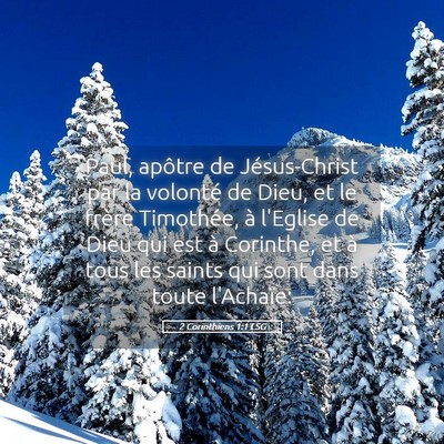 Picture 05 - 2 Corinthiens 1:1 LSG - Paul, apôtre de Jésus-Christ par la volonté de - Bible Verse Picture