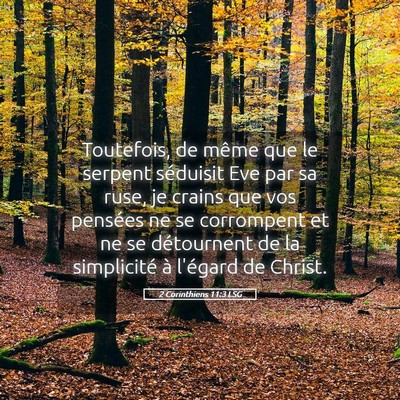 Picture 05 - 2 Corinthiens 11:3 LSG - Toutefois, de même que le serpent séduisit Eve - Bible Verse Picture