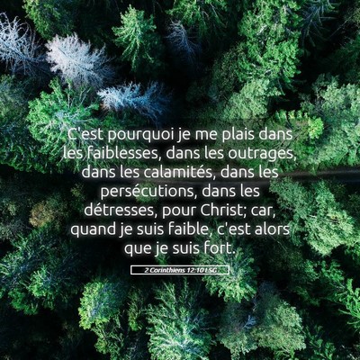 Picture 05 - 2 Corinthiens 12:10 LSG - C'est pourquoi je me plais dans les faiblesses, - Bible Verse Picture