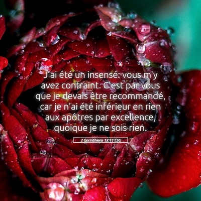 Picture 05 - 2 Corinthiens 12:11 LSG - J'ai été un insensé: vous m'y avez contraint. - Bible Verse Picture