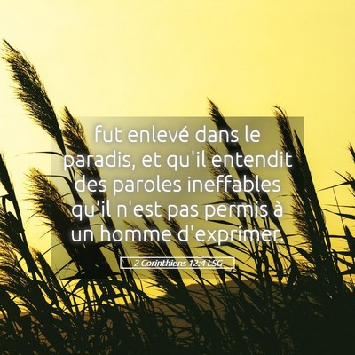 Picture 05 - 2 Corinthiens 12:4 LSG - fut enlevé dans le paradis, et qu'il entendit - Bible Verse Picture