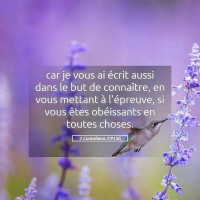 Picture 05 - 2 Corinthiens 2:9 LSG - car je vous ai écrit aussi dans le but de - Bible Verse Picture