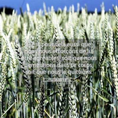 Picture 05 - 2 Corinthiens 5:9 LSG - C'est pour cela aussi que nous nous efforçons de - Bible Verse Picture