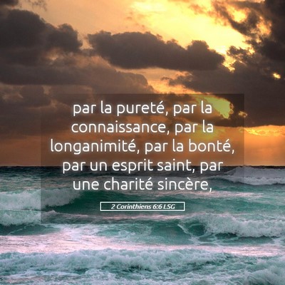 Picture 05 - 2 Corinthiens 6:6 LSG - par la pureté, par la connaissance, par la - Bible Verse Picture