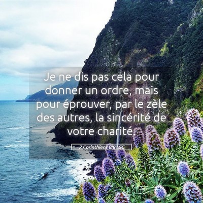 Picture 05 - 2 Corinthiens 8:8 LSG - Je ne dis pas cela pour donner un ordre, mais - Bible Verse Picture