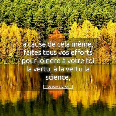 Picture 05 - 2 Pierre 1:5 LSG - à cause de cela même, faites tous vos efforts - Bible Verse Picture