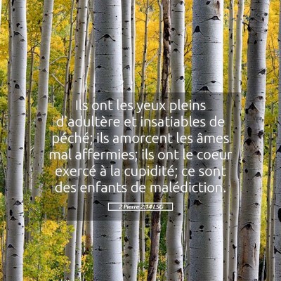 Picture 05 - 2 Pierre 2:14 LSG - Ils ont les yeux pleins d'adultère et - Bible Verse Picture