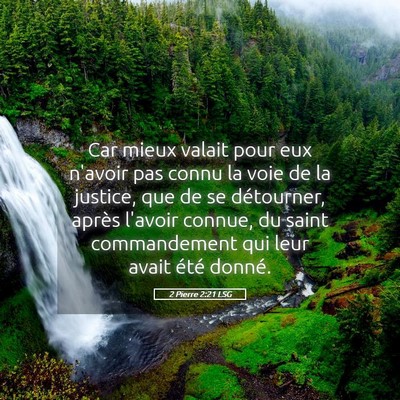 Picture 05 - 2 Pierre 2:21 LSG - Car mieux valait pour eux n'avoir pas connu la - Bible Verse Picture