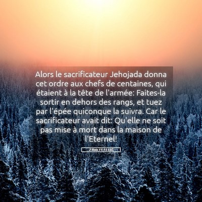 Picture 05 - 2 Rois 11:15 LSG - Alors le sacrificateur Jehojada donna cet ordre - Bible Verse Picture