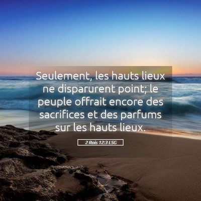 Picture 05 - 2 Rois 12:3 LSG - Seulement, les hauts lieux ne disparurent point; - Bible Verse Picture