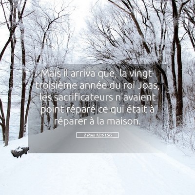 Picture 05 - 2 Rois 12:6 LSG - Mais il arriva que, la vingt-troisième année du - Bible Verse Picture