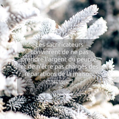 Picture 05 - 2 Rois 12:8 LSG - Les sacrificateurs convinrent de ne pas prendre - Bible Verse Picture
