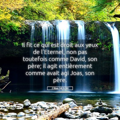 Picture 05 - 2 Rois 14:3 LSG - Il fit ce qui est droit aux yeux de l'Eternel, - Bible Verse Picture