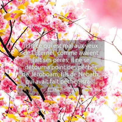 Picture 05 - 2 Rois 15:9 LSG - Il fit ce qui est mal aux yeux de l'Eternel, - Bible Verse Picture