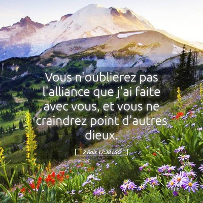 Picture 05 - 2 Rois 17:38 LSG - Vous n'oublierez pas l'alliance que j'ai faite - Bible Verse Picture