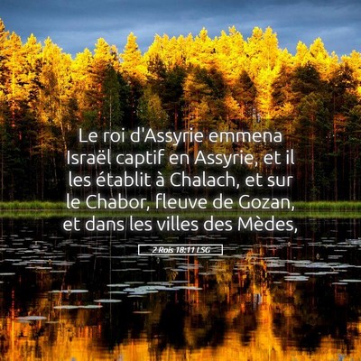 Picture 05 - 2 Rois 18:11 LSG - Le roi d'Assyrie emmena Israël captif en - Bible Verse Picture