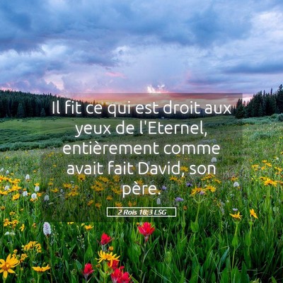 Picture 05 - 2 Rois 18:3 LSG - Il fit ce qui est droit aux yeux de l'Eternel, - Bible Verse Picture