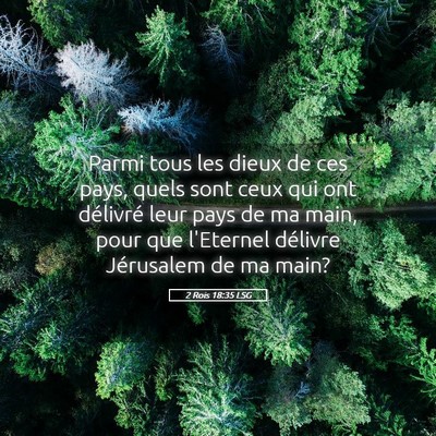 Picture 05 - 2 Rois 18:35 LSG - Parmi tous les dieux de ces pays, quels sont ceux - Bible Verse Picture