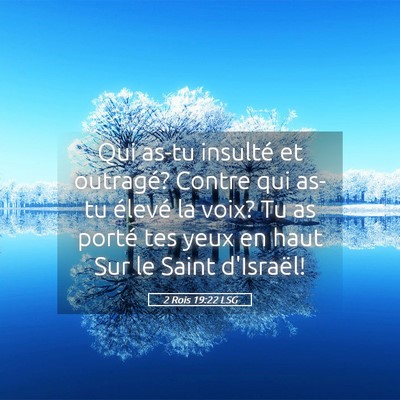 Picture 05 - 2 Rois 19:22 LSG - Qui as-tu insulté et outragé? Contre qui as-tu - Bible Verse Picture