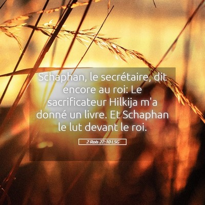 Picture 05 - 2 Rois 22:10 LSG - Schaphan, le secrétaire, dit encore au roi: Le - Bible Verse Picture
