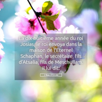 Picture 05 - 2 Rois 22:3 LSG - La dix-huitième année du roi Josias, le roi - Bible Verse Picture