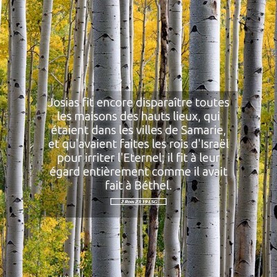 Picture 05 - 2 Rois 23:19 LSG - Josias fit encore disparaître toutes les maisons - Bible Verse Picture