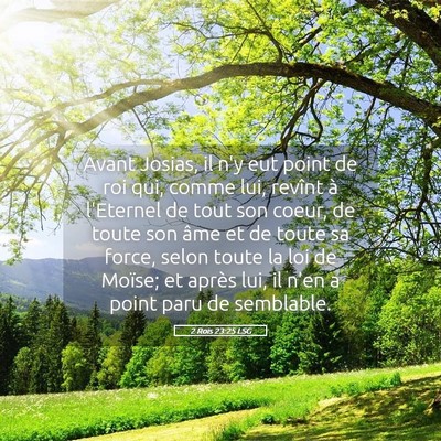 Picture 05 - 2 Rois 23:25 LSG - Avant Josias, il n'y eut point de roi qui, comme - Bible Verse Picture