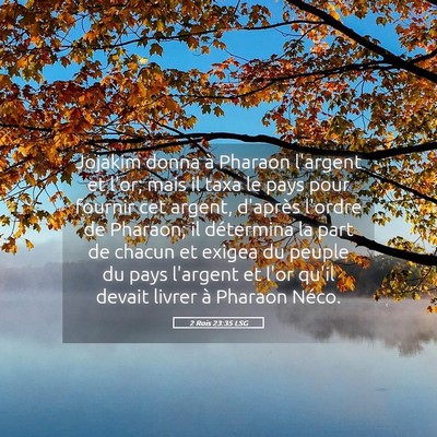 Picture 05 - 2 Rois 23:35 LSG - Jojakim donna à Pharaon l'argent et l'or; mais - Bible Verse Picture