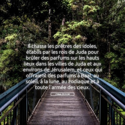 Picture 05 - 2 Rois 23:5 LSG - Il chassa les prêtres des idoles, établis par - Bible Verse Picture