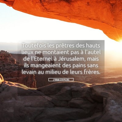 Picture 05 - 2 Rois 23:9 LSG - Toutefois les prêtres des hauts lieux ne - Bible Verse Picture