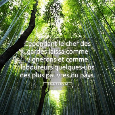 Picture 05 - 2 Rois 25:12 LSG - Cependant le chef des gardes laissa comme - Bible Verse Picture