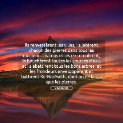 Picture 05 - 2 Rois 3:25 LSG - Ils renversèrent les villes, ils jetèrent - Bible Verse Picture
