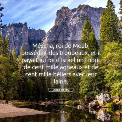 Picture 05 - 2 Rois 3:4 LSG - Méscha, roi de Moab, possédait des troupeaux, - Bible Verse Picture