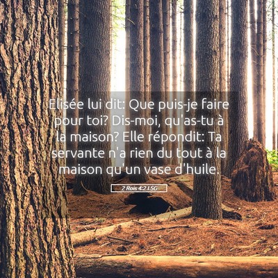 Picture 05 - 2 Rois 4:2 LSG - Elisée lui dit: Que puis-je faire pour toi? - Bible Verse Picture