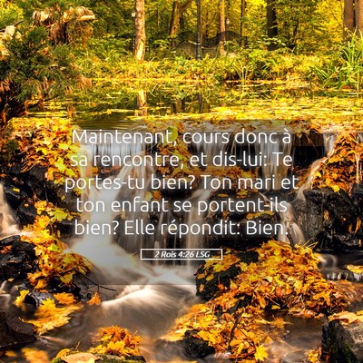 Picture 05 - 2 Rois 4:26 LSG - Maintenant, cours donc à sa rencontre, et - Bible Verse Picture