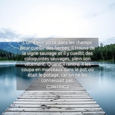 Picture 05 - 2 Rois 4:39 LSG - L'un d'eux sortit dans les champs pour cueillir - Bible Verse Picture