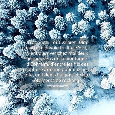 Picture 05 - 2 Rois 5:22 LSG - Il répondit: Tout va bien. Mon maître m'envoie - Bible Verse Picture