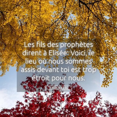 Picture 05 - 2 Rois 6:1 LSG - Les fils des prophètes dirent à Elisée: Voici, - Bible Verse Picture