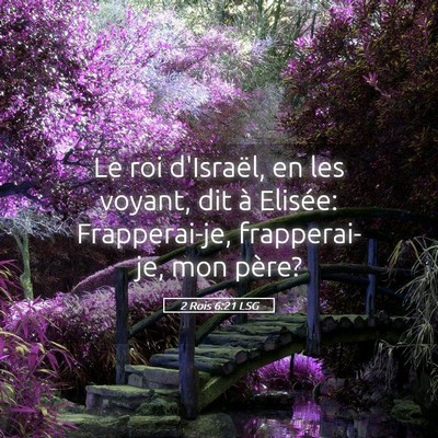 Picture 05 - 2 Rois 6:21 LSG - Le roi d'Israël, en les voyant, dit à Elisée: - Bible Verse Picture