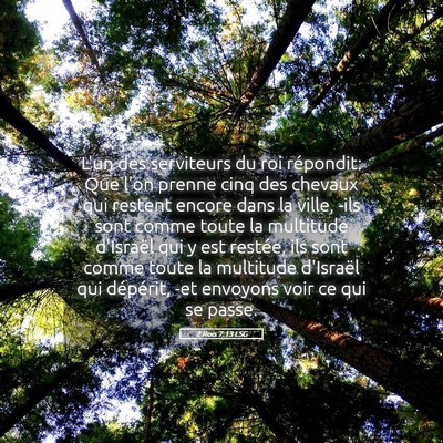 Picture 05 - 2 Rois 7:13 LSG - L'un des serviteurs du roi répondit: Que l'on - Bible Verse Picture