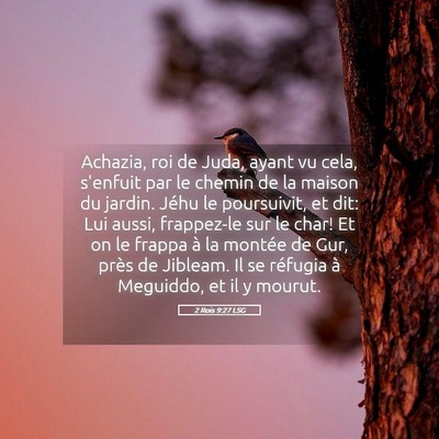 Picture 05 - 2 Rois 9:27 LSG - Achazia, roi de Juda, ayant vu cela, s'enfuit par - Bible Verse Picture