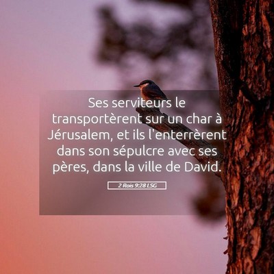 Picture 05 - 2 Rois 9:28 LSG - Ses serviteurs le transportèrent sur un char à - Bible Verse Picture