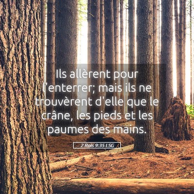 Picture 05 - 2 Rois 9:35 LSG - Ils allèrent pour l'enterrer; mais ils ne - Bible Verse Picture